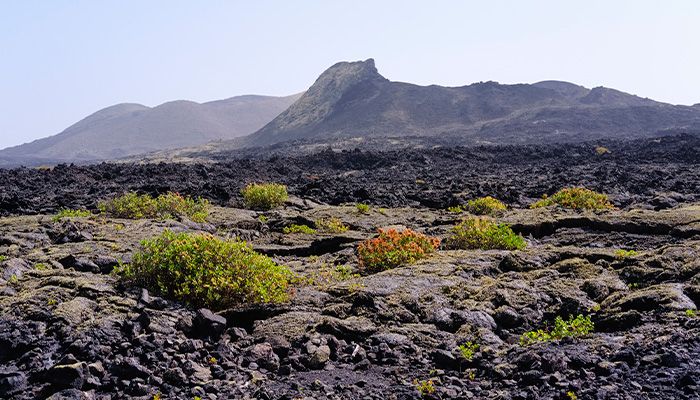 lanzarote1