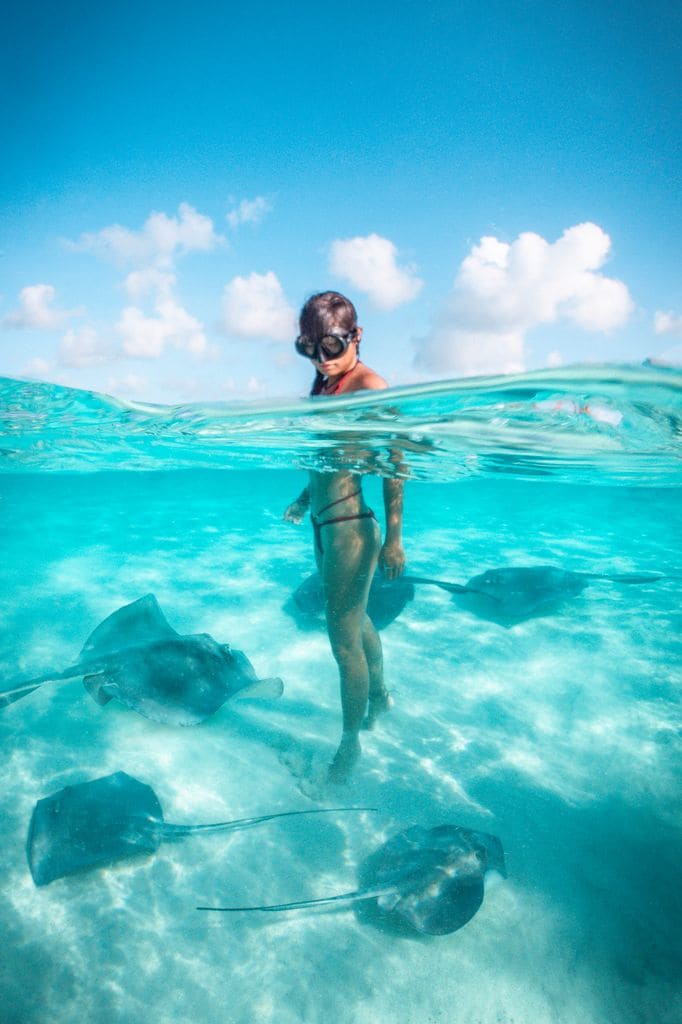 Mujer joven buceando en el mar con mantas