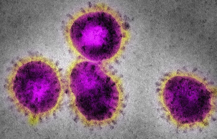 coronavirus2