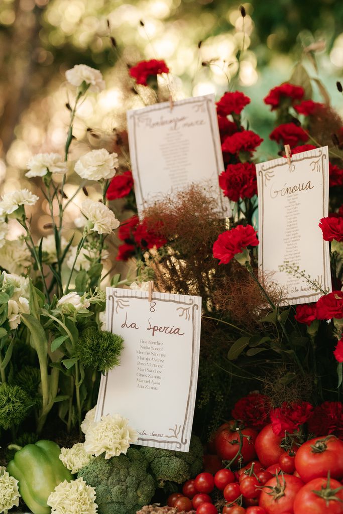 Seating plan con verduras y claveles boda