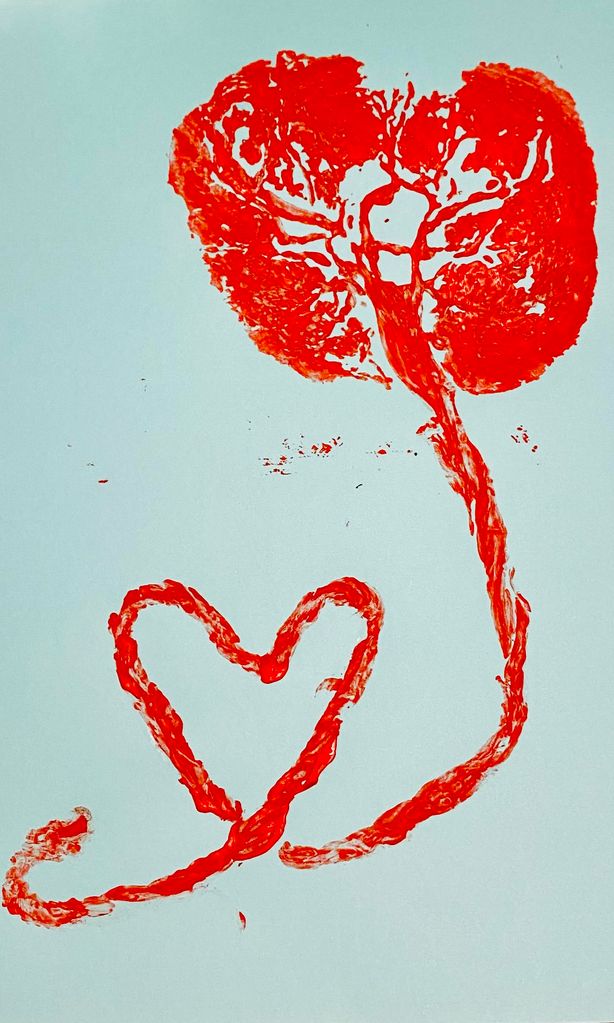 Cartulina con impresión de placenta