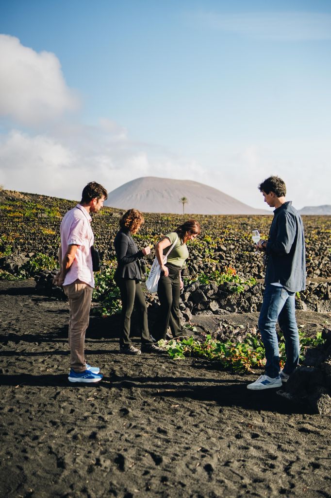 Viñedo de El Grifo, en Lanzarote