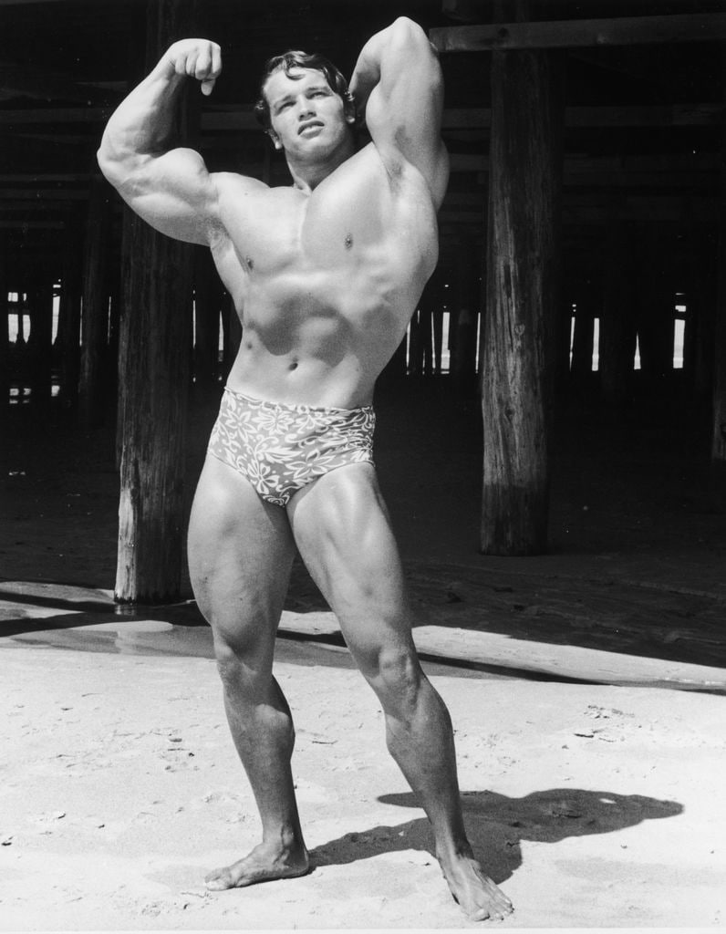 Arnold Schwarzenegger y Andy Warhol se conocieron durante una sesión de fotos y fueron muy amigos