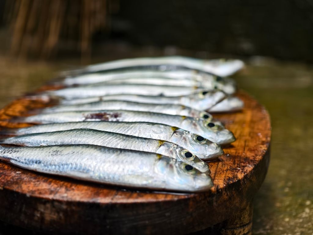 Empieza la temporada de las sardinas, que se extiende durante todo el verano.