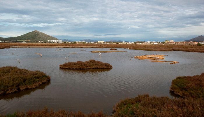 albufera1