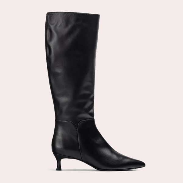 Bota de caña alta y punta fina