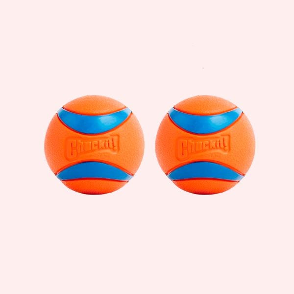 Para perros enérgicos que adoran jugar a la pelota