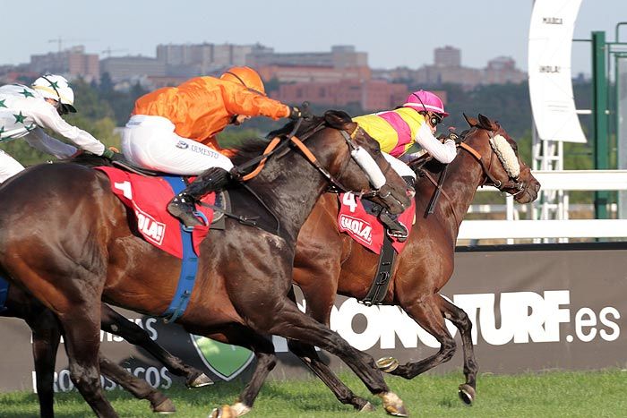 Hipódromo de la Zarzuela