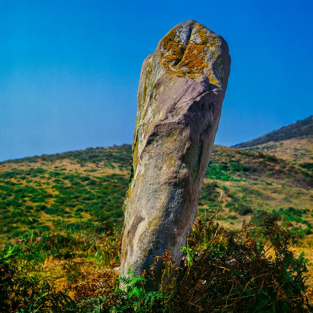 Menhir del Ilso de Perutxote.Trucios-Turtzioz (Bizkaia)