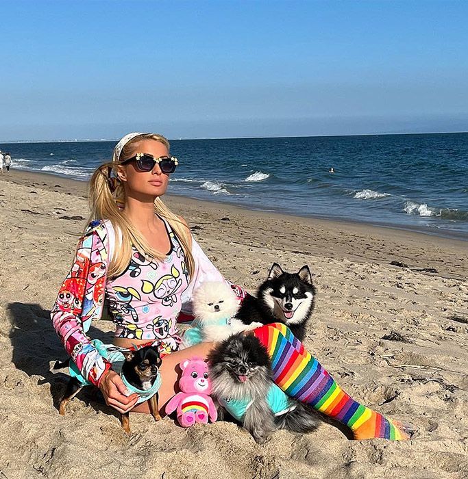 paris hilton y sus perros