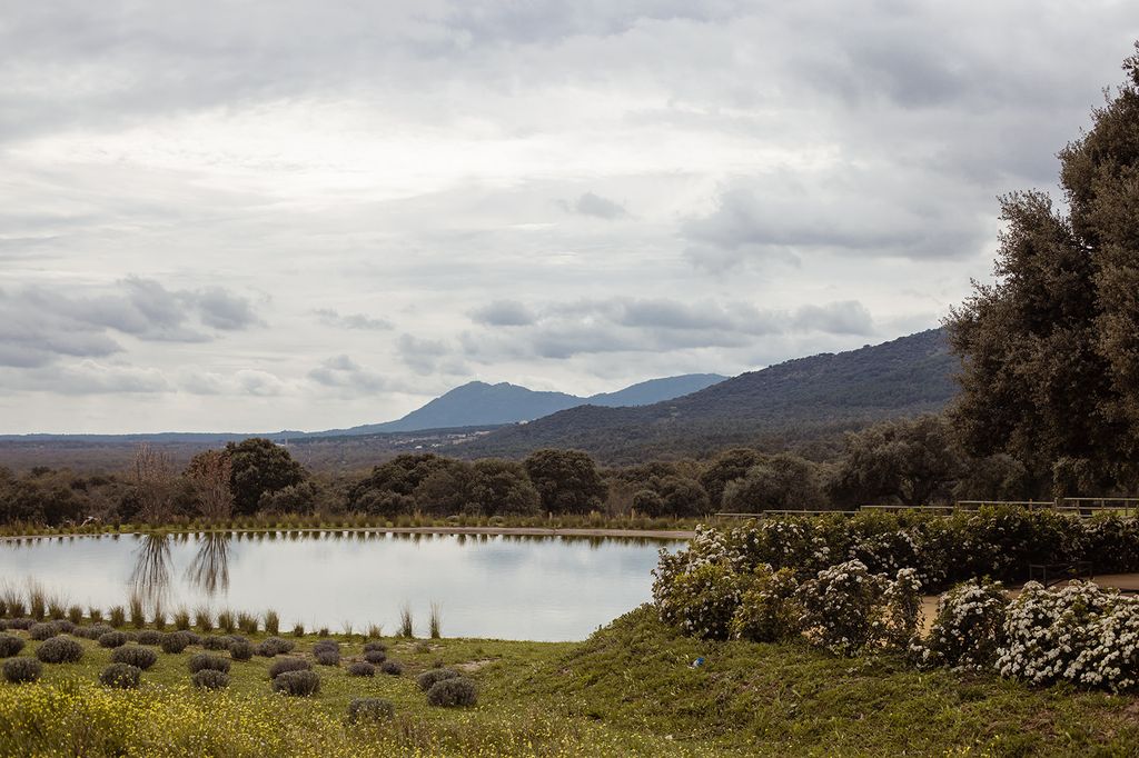 El Jaral de la Mira