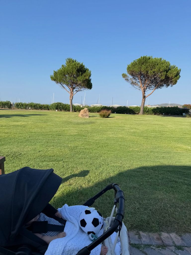 El carrito de su bebé cuenta con su propia pelota