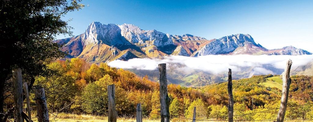 El parque natural de Ponga
