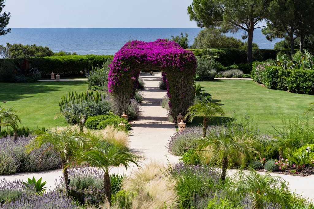 Jardín con un arco verde cubierto de buganvillas en flor