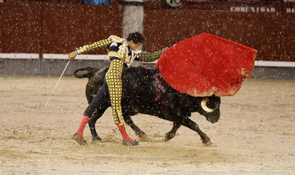 Andrés Roca Rey en la plaza de Las Ventas durante su faena en la tradicional corrida de la beneficencia que cierra la feria de San Isidro, a 14 de junio de 2026, en Madrid