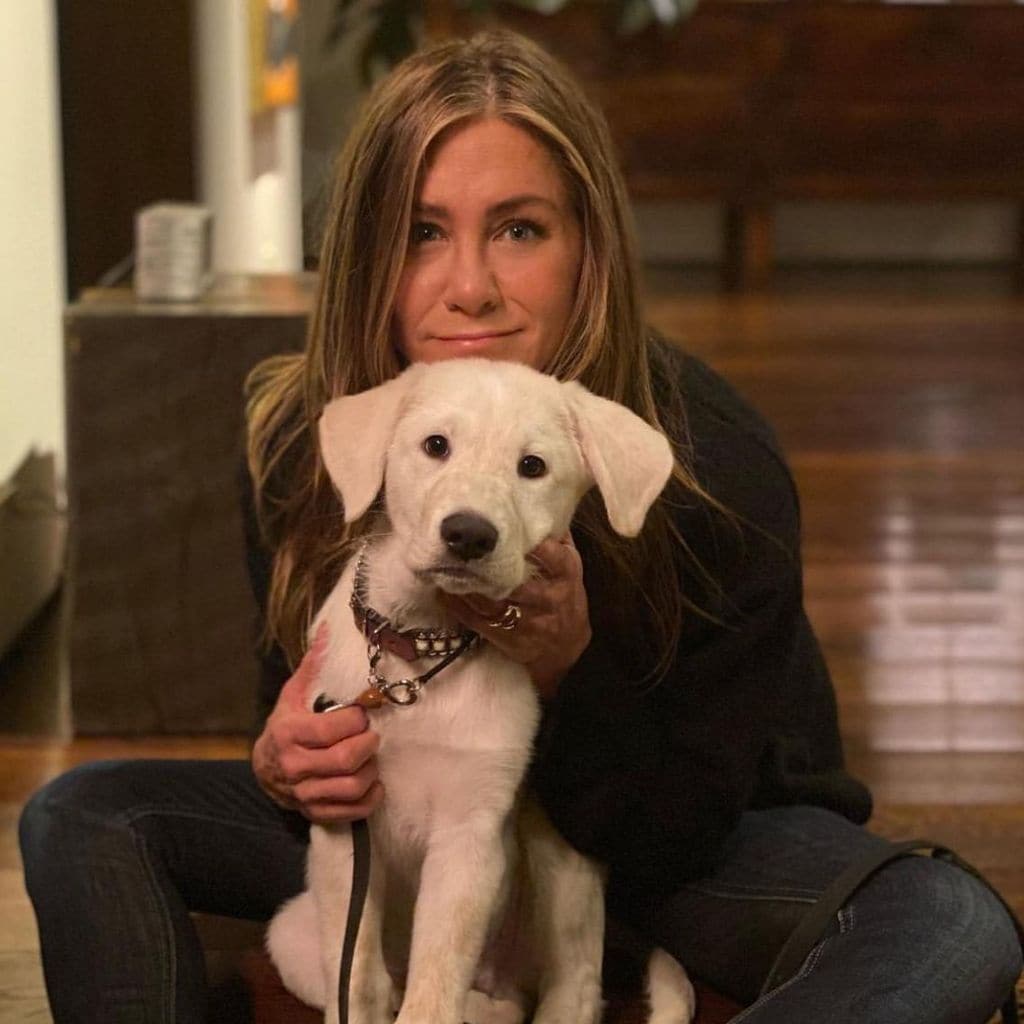 Jennifer Aniston