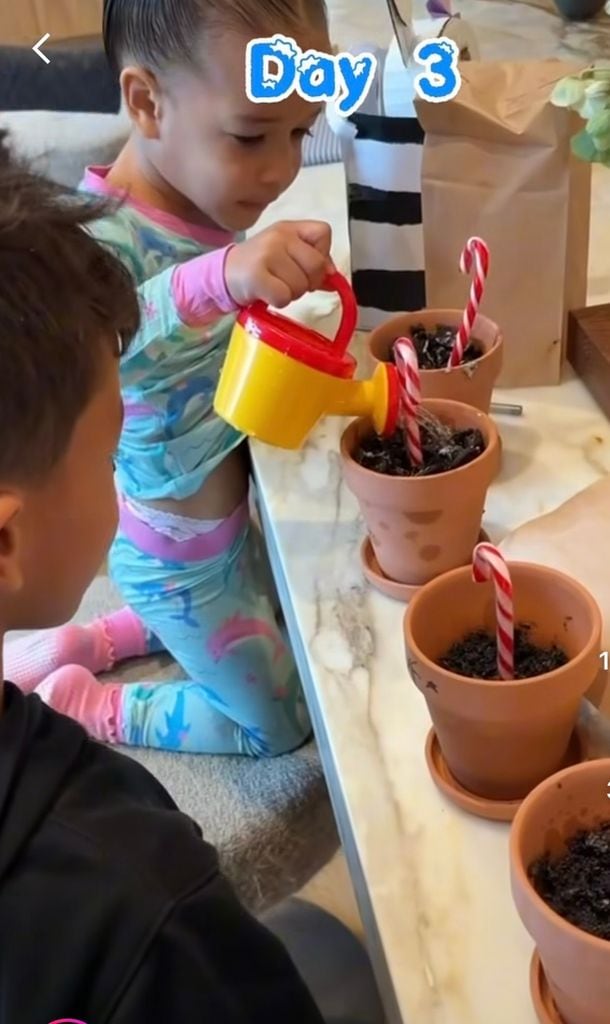 Estu y Wren estaban entretenidos con la actividad. 