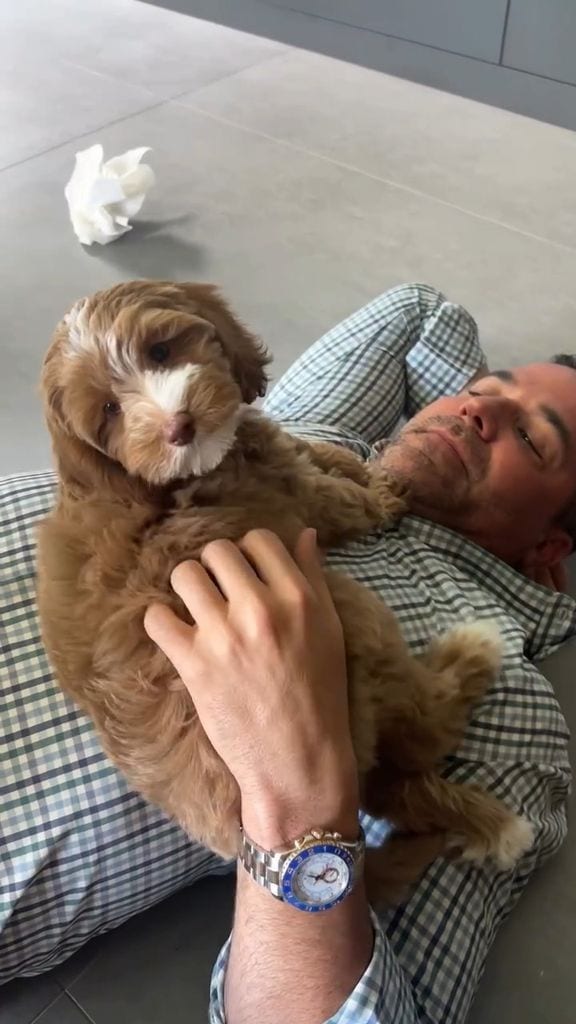Poco a poco Jay fue cediendo a tener un perrito más en casa