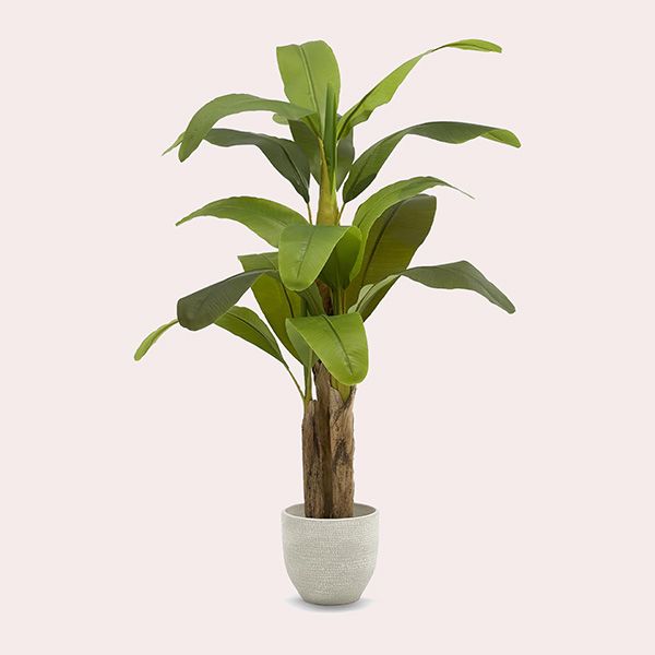 MAIA SHOP Platanera Artificial