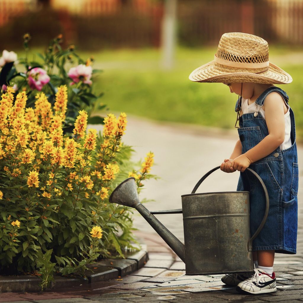 crear un huerto o jard n peque o en casa con multitud de plantas