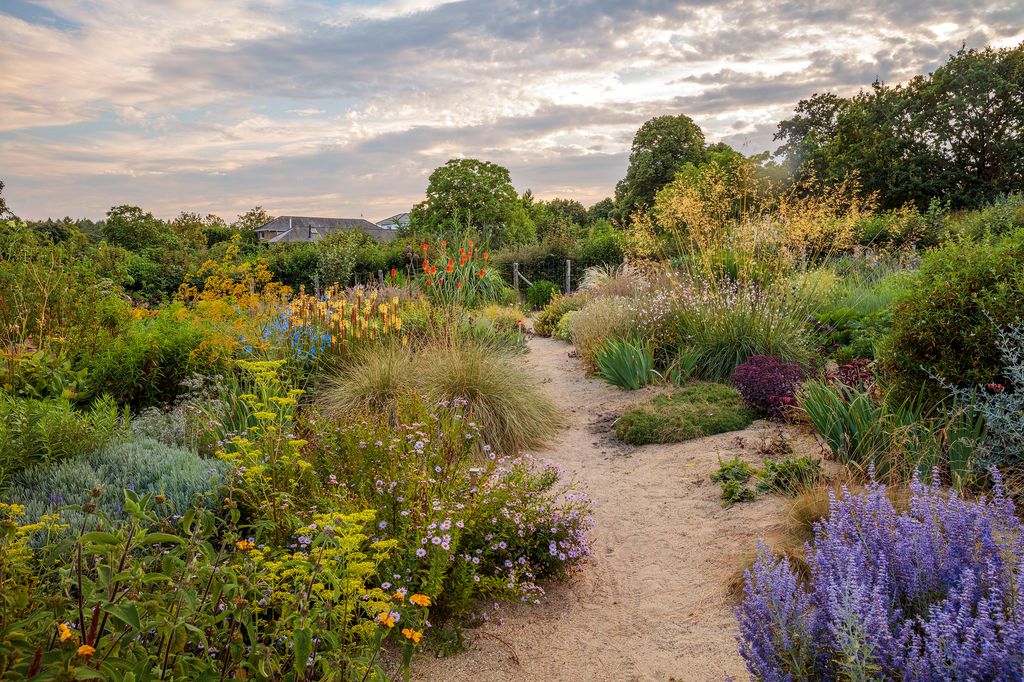 Otra vista del jardín de Serge Hill Project