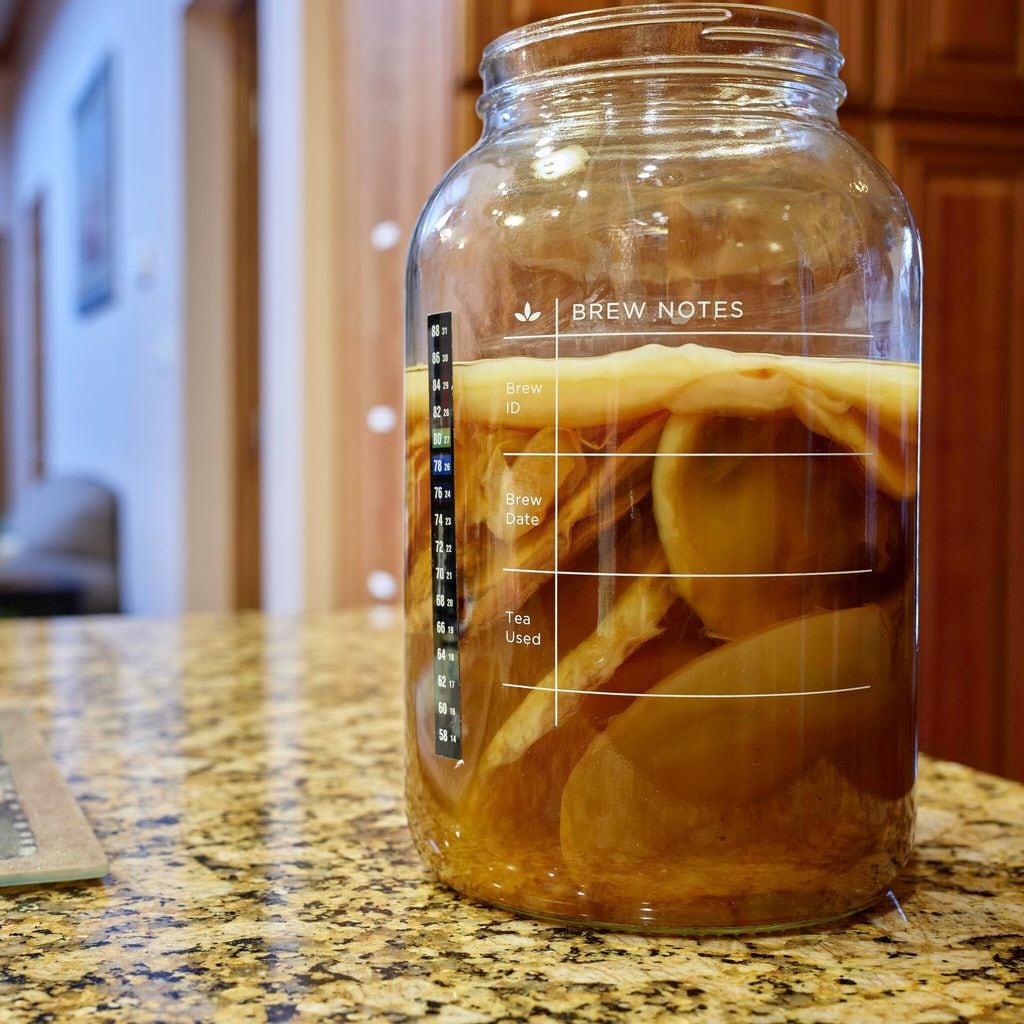 Té casero de kombucha con scoby