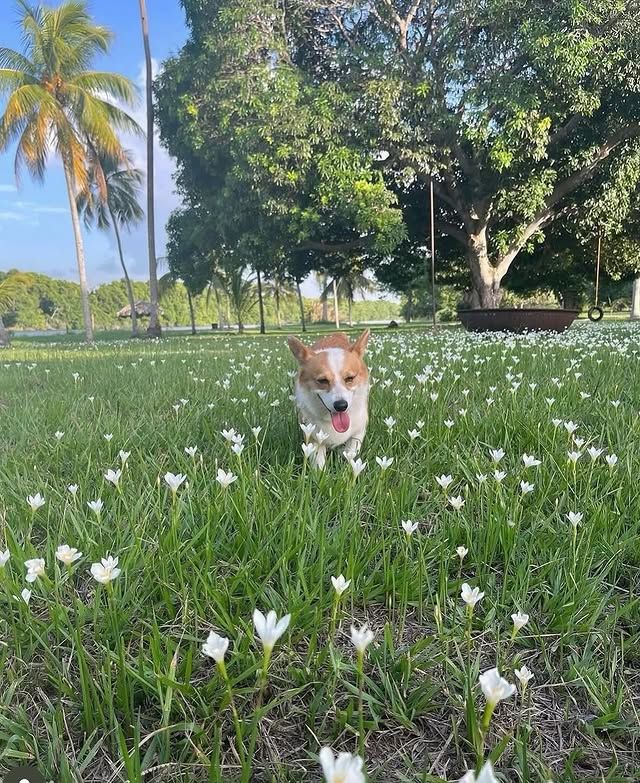 Para Fátima Bosch, Rocco era una parte importante de su vida, por eso, ahora que ya no está, lo lleva consigo simbólicamente.