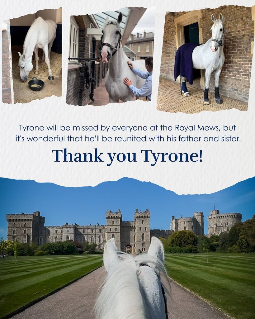 Se retira Tyrone, uno de los caballos más serviciales de Buckingham Palace