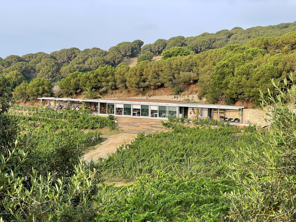 Bodega Alta Alella, Barcelona