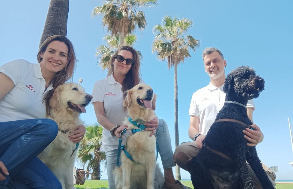 Perros de terapia de Yaracan, con apoyo de la Fundación Royal Canin, acompañan a los niños de los colegios afectados por la DANA para ayudarles a recuperar bienestar emocional