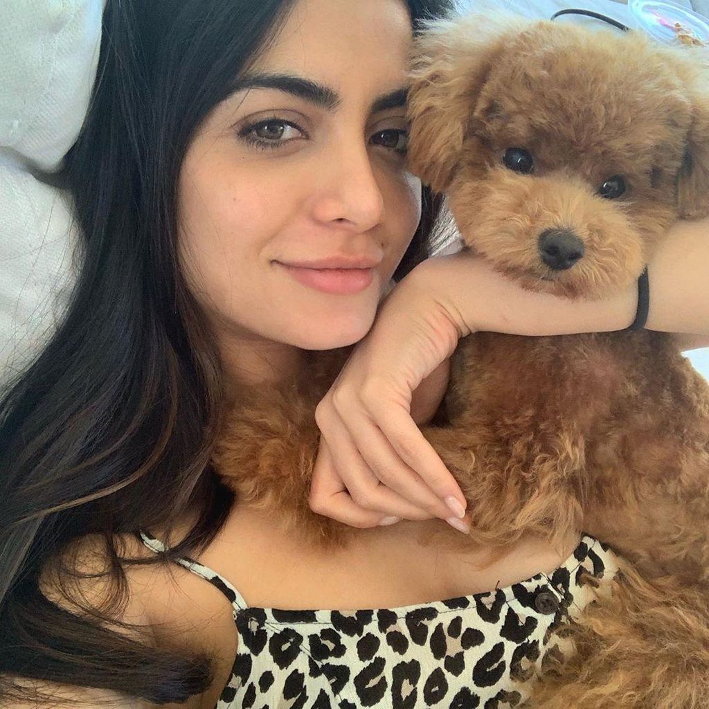 Perro de Prince Royce