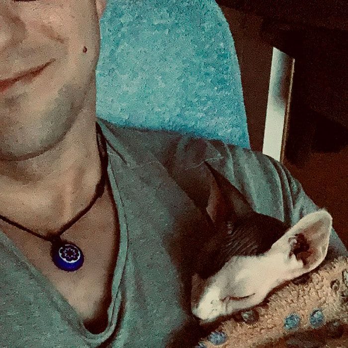 Gato Elliot