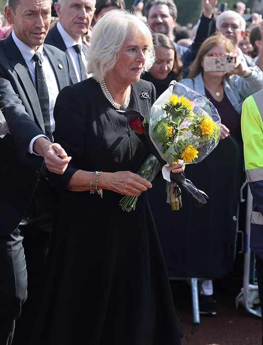 camilla reina consorte