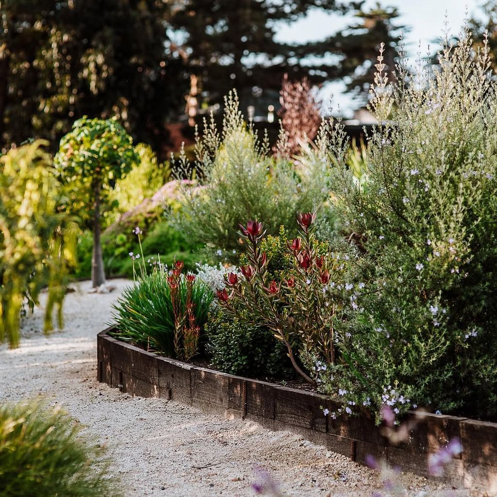 Jardín 