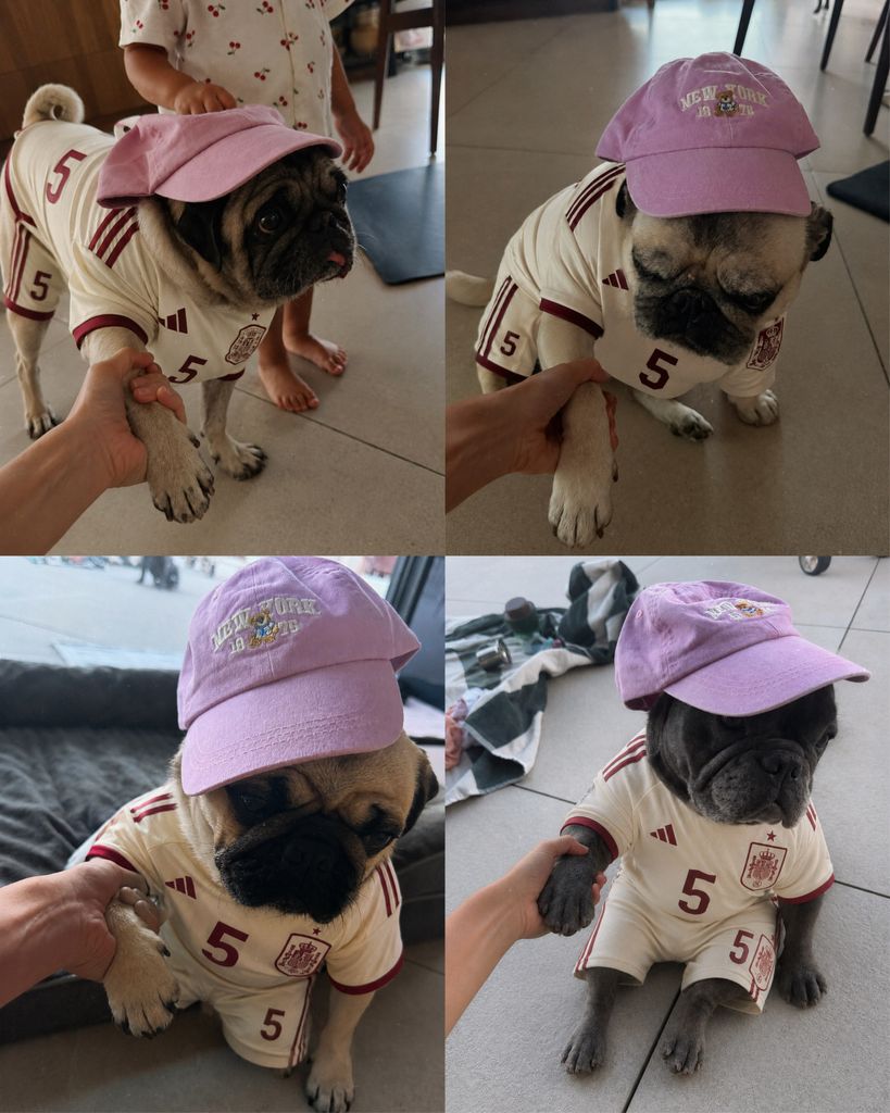 Los perritos de la familia, animando al combinado nacional