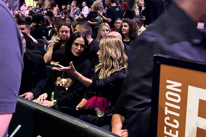 Demi Moore y su perro Pilaf que no se pierde una fiesta