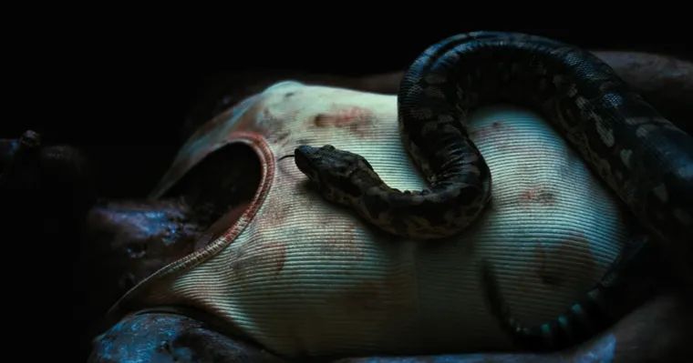 Jacob estuvo dos días encerrado en un ataúd con una serpiente real