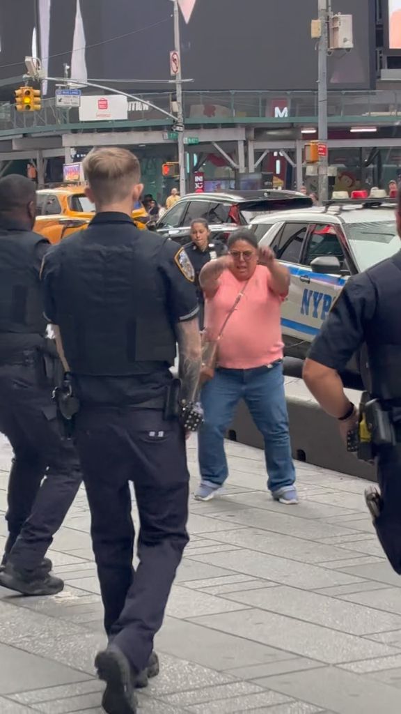 Pamela Cisneros, de 49 años, había apuñalado a un hombre de 68 años apenas 20 segundos antes de atacar a Erin