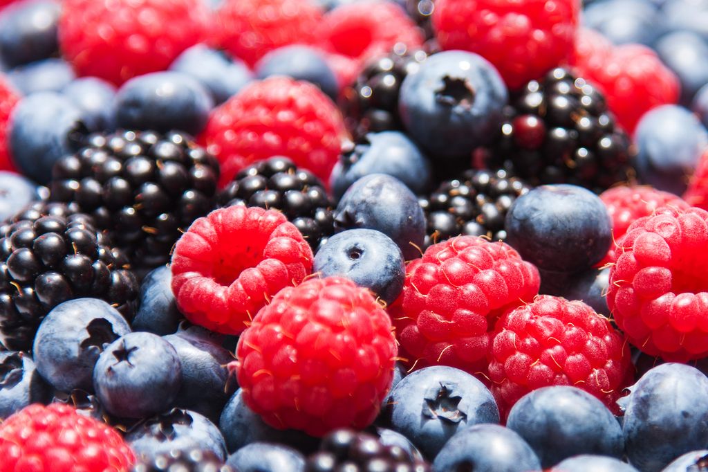 Frutos del bosque