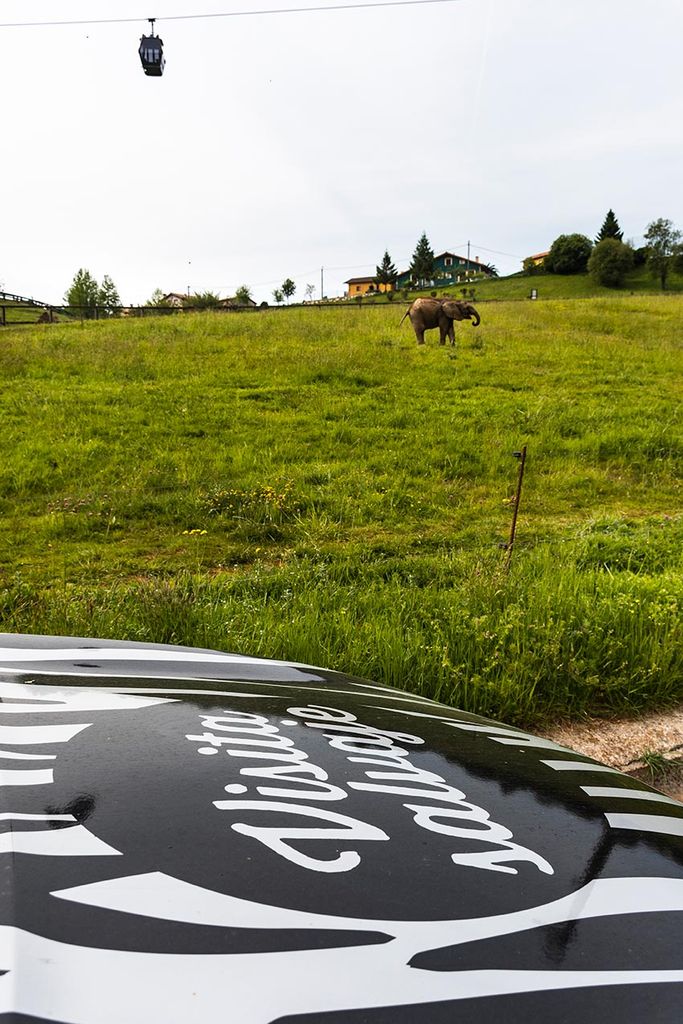 Parque de la Naturaleza de Cabárceno, Cantabria