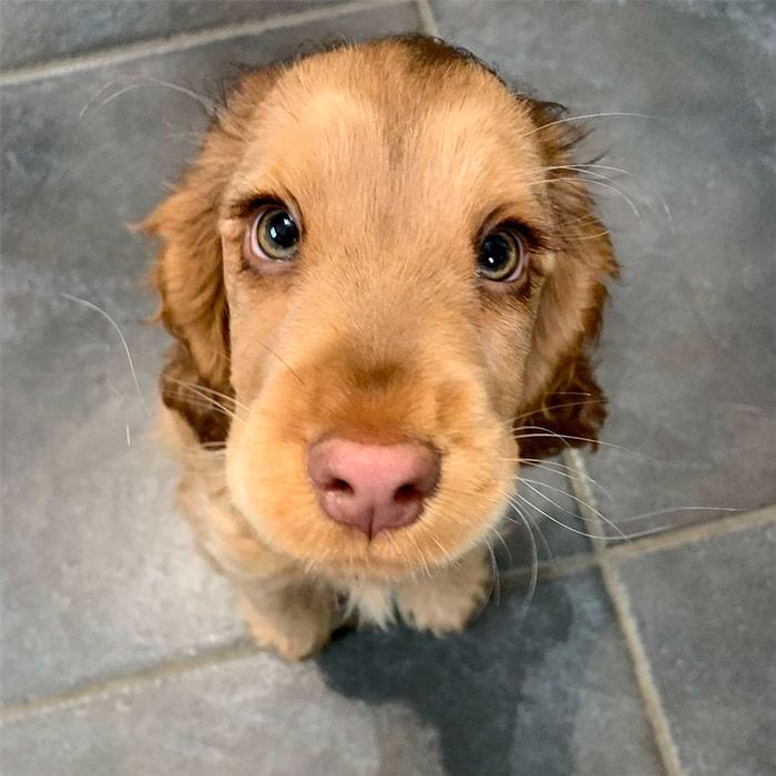 winnie