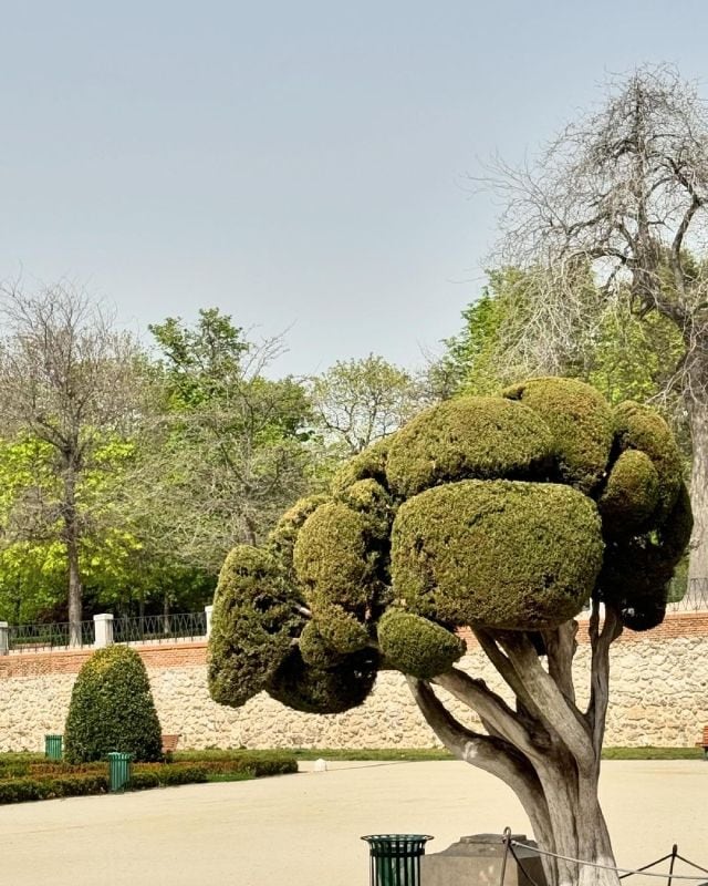 Hande Erçel descubrió el parque de 'El Retiro' junto a sus amigas Mihre Mutlu y Casin Denizer