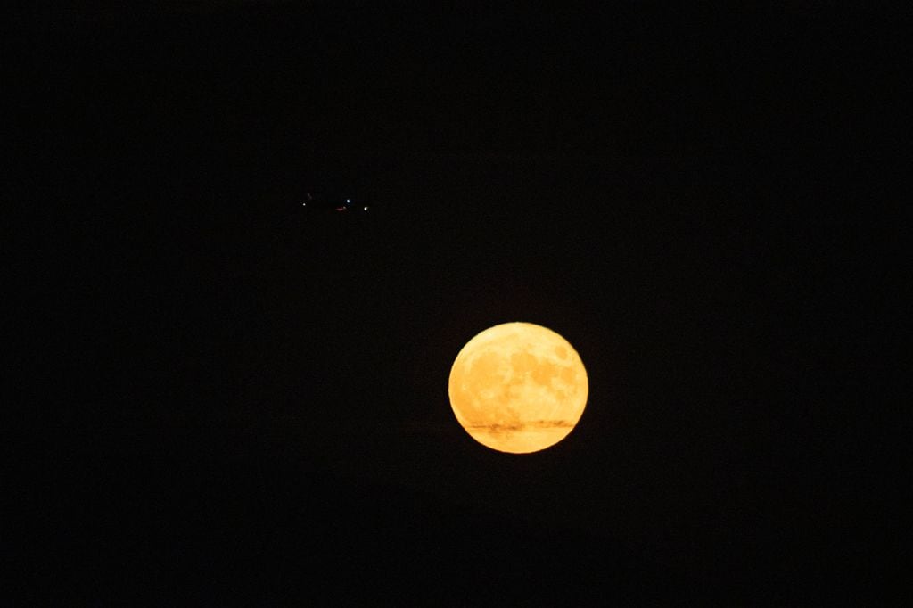 Luna de Maíz 