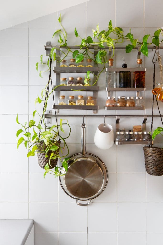 Especiero en la cocina decorado mediante plantas naturales
