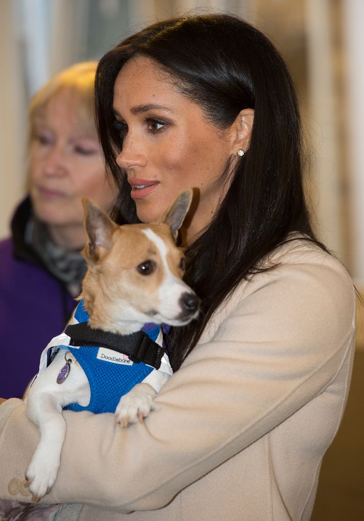 Meghan Markle con un perro 
