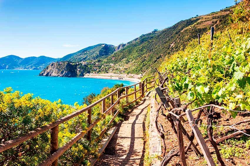 Sendero Azzurro en Cinque Terre