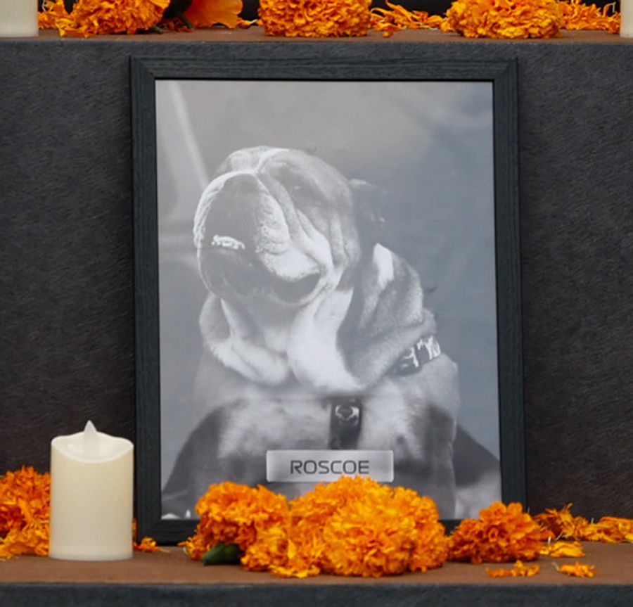 En medio de grandes celebridades de la Fórmula 1, Roscoe destaca en la ofrenda del Día de Muertos