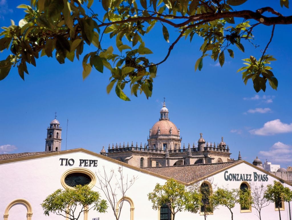 Bodegas Tío Pepe, de Gonzalez Byass, vuelve un año más con su certamen 'Veranea en la bodega', repleto de actividades.