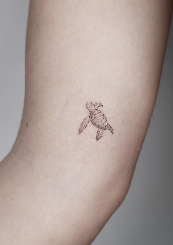 teresa-cuttoo