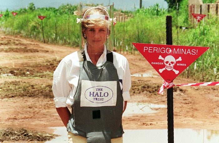 La verdadera Diana, todo lo que mostró en su último año de vida